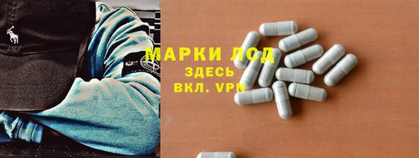 трава Медвежьегорск