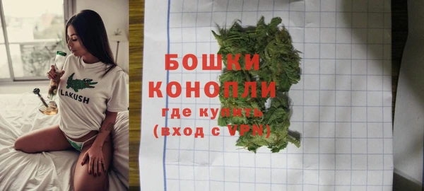 трава Медвежьегорск