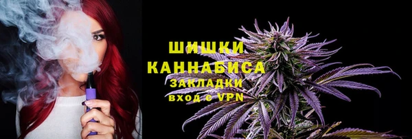 трава Медвежьегорск