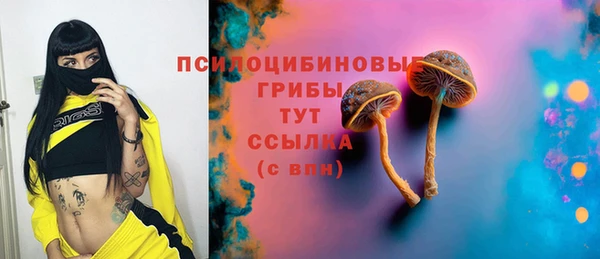 ешки Медногорск