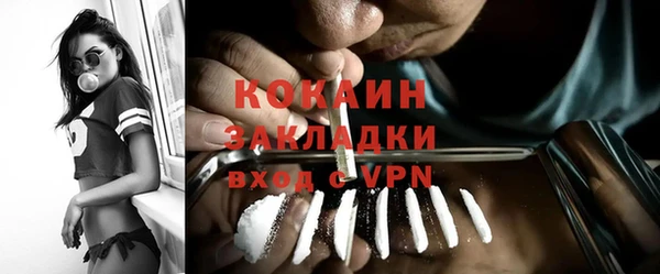 трава Медвежьегорск