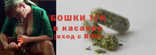 трава Медвежьегорск