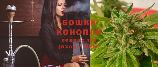 трава Медвежьегорск