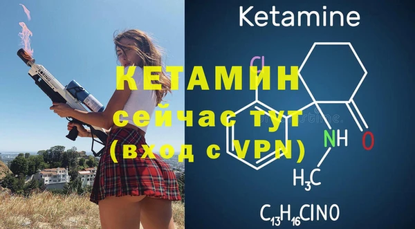 трава Медвежьегорск