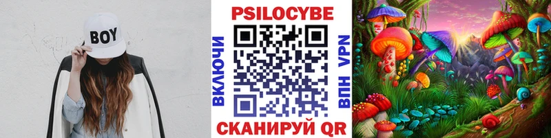 Псилоцибиновые грибы Psilocybe  OMG сайт  Белёв 