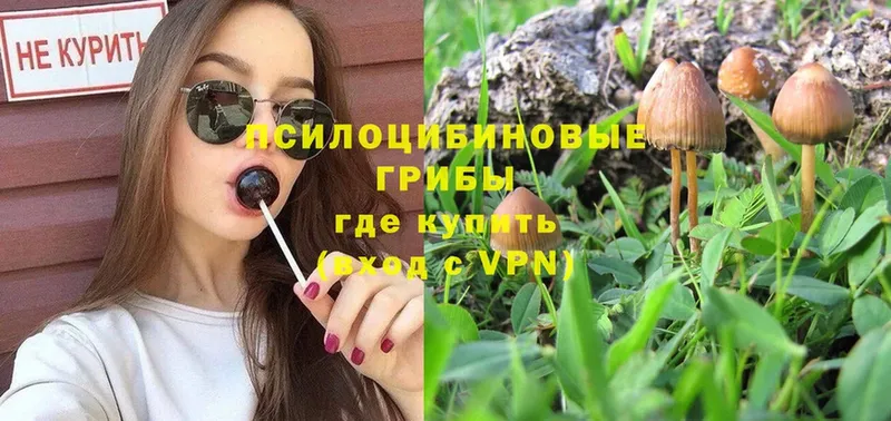 даркнет формула Белёв Галлюциногенные грибы прущие грибы